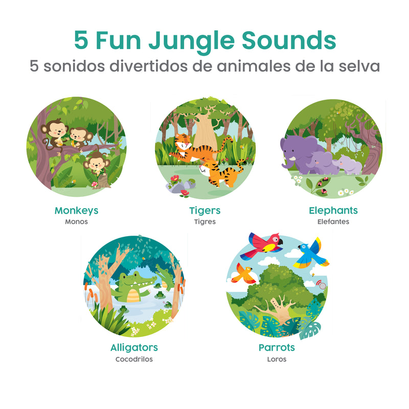 Binibi Bilingual Sound Book Bundle